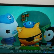 威宁8