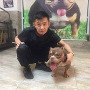 完美恶霸犬舍