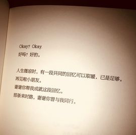 炸毛兔🐰主播照片