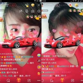 海鸽晚上播主播照片