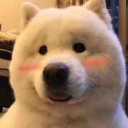 国服第一绕子
