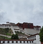 我o0e海报