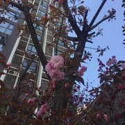 左手倒影uw海报