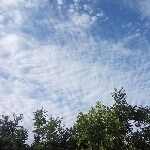 源天宫海报