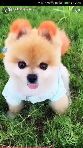 ✨媳婦⭐求🌙帶走✨主播照片