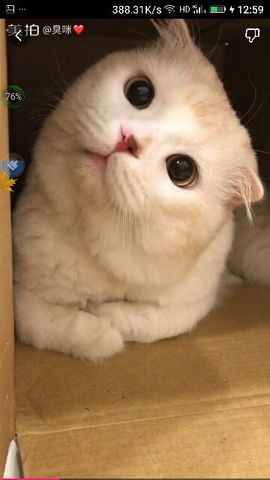 ✨媳婦⭐求🌙帶走✨主播照片