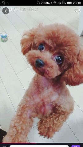 ✨媳婦⭐求🌙帶走✨主播照片