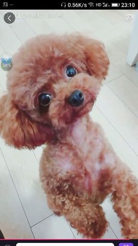 ✨媳婦⭐求🌙帶走✨主播照片