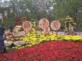 魅力女人唱民歌的图片
