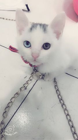 ╰❥闹等你ღ主播照片