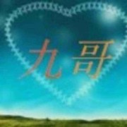 九哥王