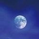 ＆太空8的头像