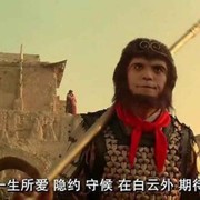 意思z4