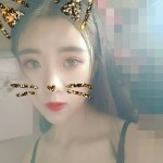 是你的猫咪