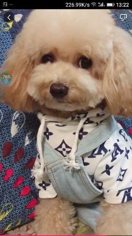 ✨媳婦⭐求🌙帶走✨主播照片