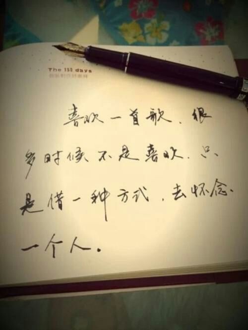 ✨一网情深✨等你🐾的主播照片