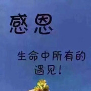 相悦问情海报