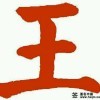 飞之翼d