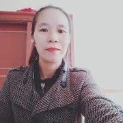 玫瑰花香y7