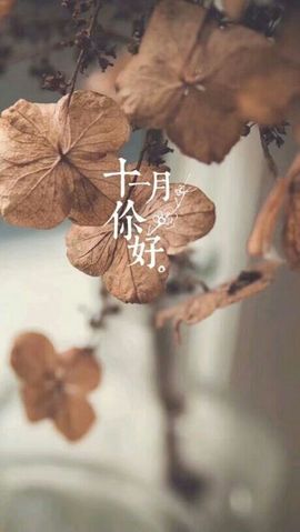 a灵儿~baby主播照片