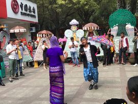 缅甸翡翠原石♛李子主播照片