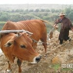 高手起名不离下三盘