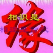 醉玲珑1