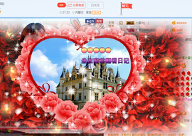 一只雁~主播照片