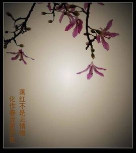 Ann薇薇主播照片