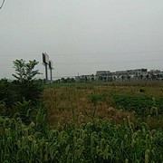 弯弓射雕o