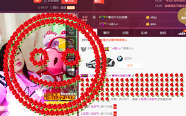 晚秋不忘初心主播照片