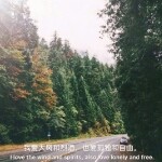 s祖傲_的头像