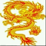 ✨东海飞龍✨