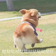 彩虹糖太甜了