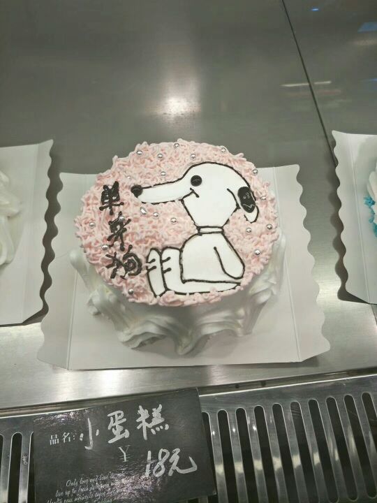 可新你们的大猪蹄子的主播照片