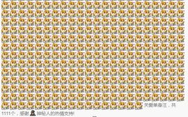 小妮子~主播照片