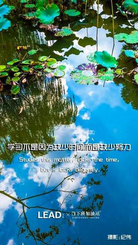 流水@歌舞青春主播照片