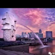 迷茫心扉海报
