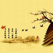秋雨涟漪海报