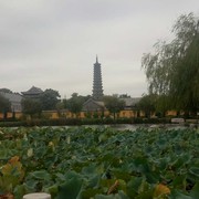 花天酒地o*