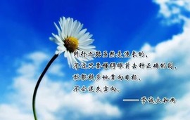 ℤℂ默默❤守候主播照片