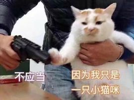 楠小笙ヅ主播照片