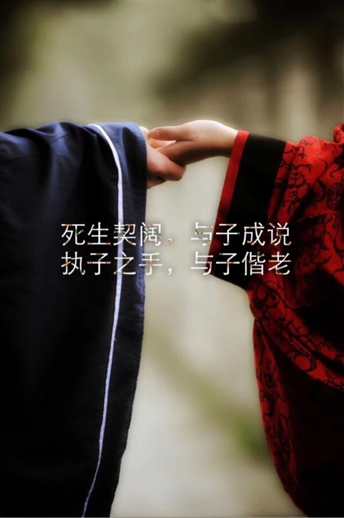 志成網絡科技的主播照片