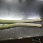 二条大葱