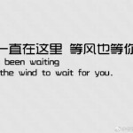我就在这里等风也等你