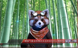 漩︽╯❤☆❤╰︽颩主播照片