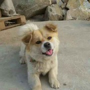 幸福到永远fi