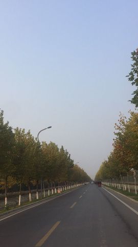 ღ乔儿ღ暂别…主播照片