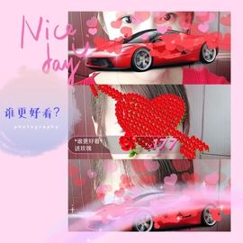海鸽晚上播主播照片