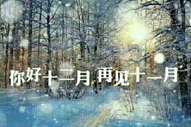 娜娜╭的专属╮小叶哥主播照片
